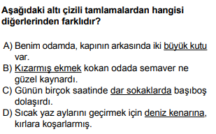 Soru Görseli